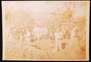 cca 1890 Eperjes, favágás a tiszti kertben (volt Rákoczi kastély) fotó / photo 16x11 cm