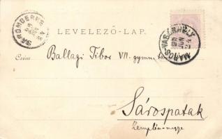 1899 Marosvásárhely, Székely iparmúzeum, református templom, főtér; kiadja Reichardsperg József / mu...