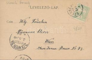 Balassagyarmat Fő utca és Teleki utca sarka, gyógyszertár; Darvai Ármin kiadása