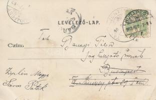 Tápiószentmárton, Blaskovics-kastély, Schwartz Kálmán kereskedése, katolikus templom; floral (EK)