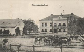 Marosszentgyörgy horse farm (small tear)