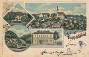 1899 Tamási, Tolnatamási; Miklósvár, vadaskert, takarékpénztár; kiadja Jeruzsálem Ede; floral litho