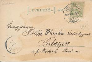 Nagykároly, Kölcsey utca, Csókás László kiadása / street (fl)