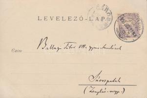 Torda, Főtér, gyógyszertár, Nagy Gyula, Virág Antal és Gombos László kereskedései / main square, pha...