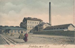 Torda cellulózgyár / cellulose factory