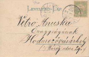 Torda cellulózgyár / cellulose factory