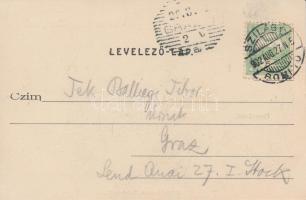 Szilágysomlyó, Piac, Megyeház utca, Szilvania épület, Rosenberger kereskedése; Veres Károly kiadása