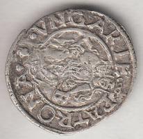 1568K-B. Denár Ag "Miksa" (0.55g) T:2-
Huszár 992.,Unger II.: 766.a