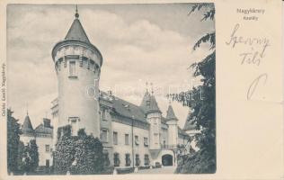 Nagykároly, Kastély; Csókás László kiadása / castle