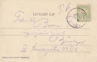 Nagykároly, Kastély; Csókás László kiadása / castle