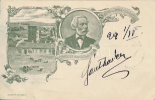 1899 Nagyszalonta, Arany János, floral 'Kosmos, Budapest'