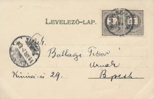 1899 Nagyszalonta, Arany János, floral 'Kosmos, Budapest'