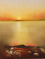 Ifj Tóth László (1957- ): Esti fények, olaj, farost, jelzett, 50×70 cm