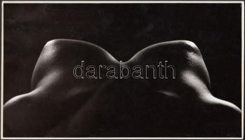 cca 1980 Balogh Ferenc: Linea Venusta, vintage fotóművészeti alkotás, feliratozott, kartonra ragasztva / erotic photo, 23x13 cm