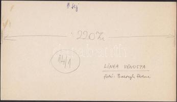 cca 1980 Balogh Ferenc: Linea Venusta, vintage fotóművészeti alkotás, feliratozott, kartonra ragaszt...