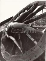 cca 1970-1980 Kerekes kompozíció, erotikus fénykép / erotic photo, 18x23 cm