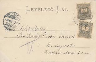 Oravica, gát; kiadja C. Kehrer / dyke