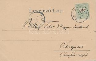 1899 Petrozsény, Szurduk, szénosztályozó művek, oláhok / broder station, coal mine, folklore; floral