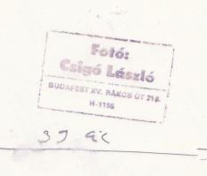 1989 Csigó László: Kecske mama a gidájával, vintage fotó, pecséttel jelzett, 1x24 cm