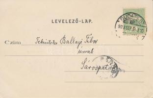 Pilis, Gubányi-kastély, floral; Schwartz Sámuel kiadása (EK)