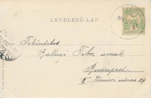 Révfülöp, Sántha-villa; kiadja Schwarcz József