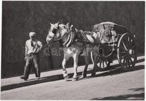 1938 Osoha László: Kordé, egy ló két kerék,  vintage fotóművészeti alkotás, pecséttel jelzett, 15x22 cm
