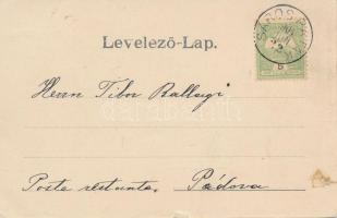 Sárospatak, Kossuth Lajos utca; Trócsányi B. kiadása (ragasztónyom / gluemark)