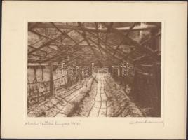 1931 Orphanidesz  János (1876-1939): Olasz szőlőlugas, vintage fotó aláírt; képméret 12x17 cm, papírméret 18x24 cm