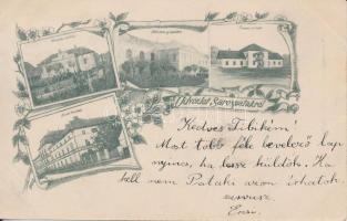 1899 Sárospatak, Református Főiskola épületei; floral