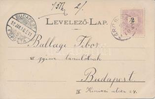 1899 Sárospatak, Református Főiskola épületei; floral