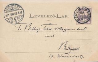 Sárospatak, Horváth-féle Gyógyszertár a Reményhez