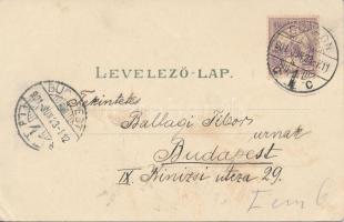 Sopron, Városház, litho; Verlag Ludwig Kummert (EK)