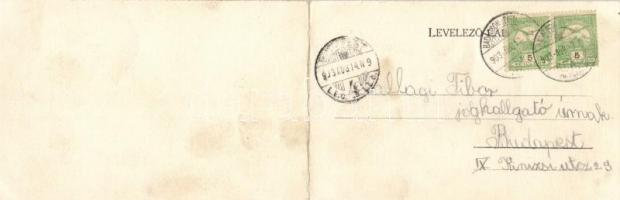 Badacsony móló, panoramacard