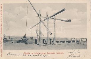 Hortobágy, itatás a hármas kútnál