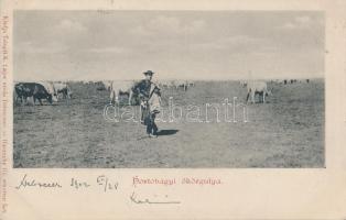 Hortobágy, ökörgulya