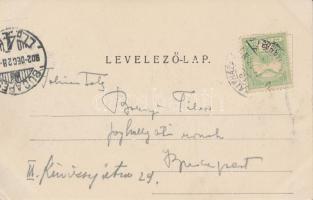 Hortobágy, juhnyáj (EK)