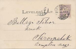 Eperjes a XVII. században / 17th century view, Caraffa