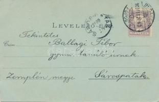 Budapest V. Nemzeti Színház, litho