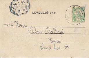 Dunakeszi, Községháza