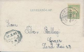 Dunakeszi-Alag, Révház