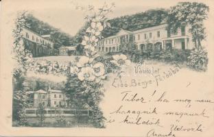 Erdőbénye-fürdő, floral