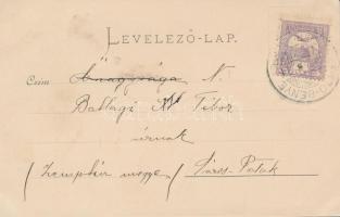 Erdőbénye-fürdő, floral