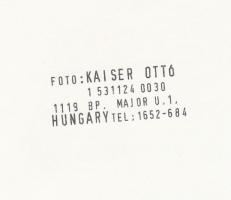 cca 1980-1990 Kaiser Ottó: Egy jól felszerelt gyermekkocsi, pecséttel jelzett, 27x20 cm