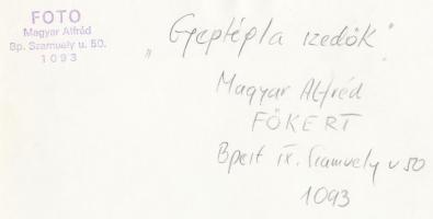 cca 1960-1970 Magyar Alfréd: Gyeptégla szedők, vintage fotóművészeti alkotás, pecséttel jelzett, fel...