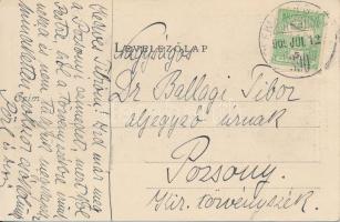 Göd, Nyaralótelep, Kosár uszoda, Gödi-sziget