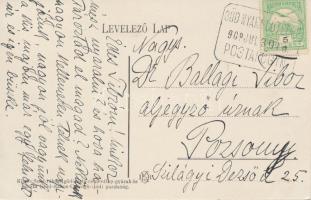 Göd, Fenyves erdő, vasútállomás