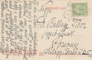 Göd, Nyaralótelep, Duna-part, Gödi-sziget