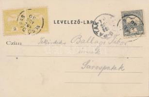 Gyón, Fő utca; Zisek testvérek kiadása