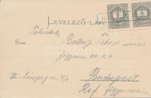 Hatvan, Cukorgyár, Gőzmalom