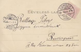 1899 Zombor, floral litho; kiadja Schön Adolf